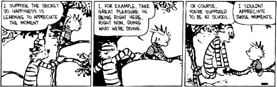 Calvin and Hobbs cartoon