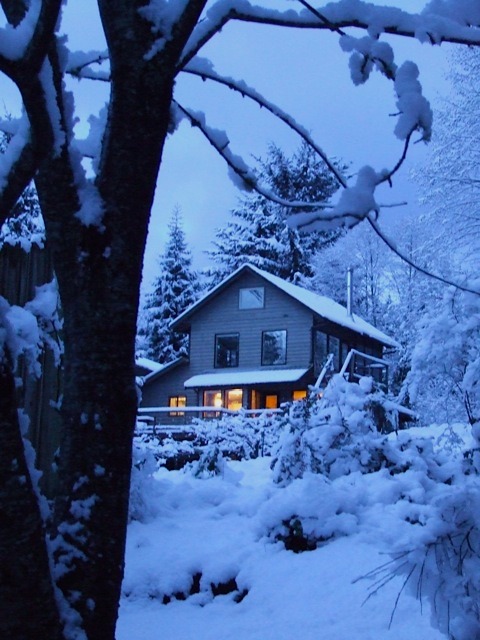 house snow