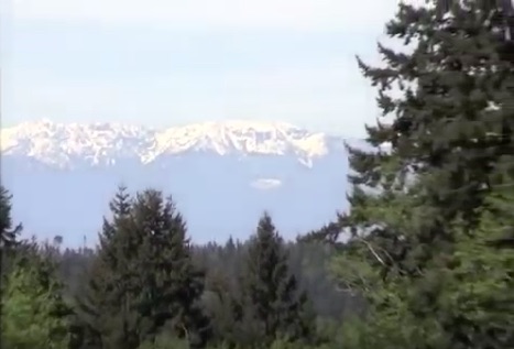 Olympic mountains out the back door