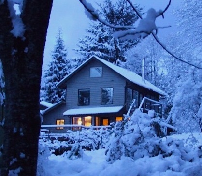 house_in_snow